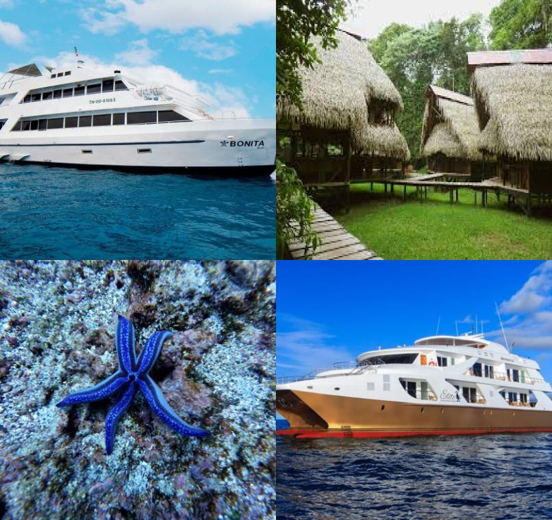 Galapagos Lastminutes & Jungle Tours