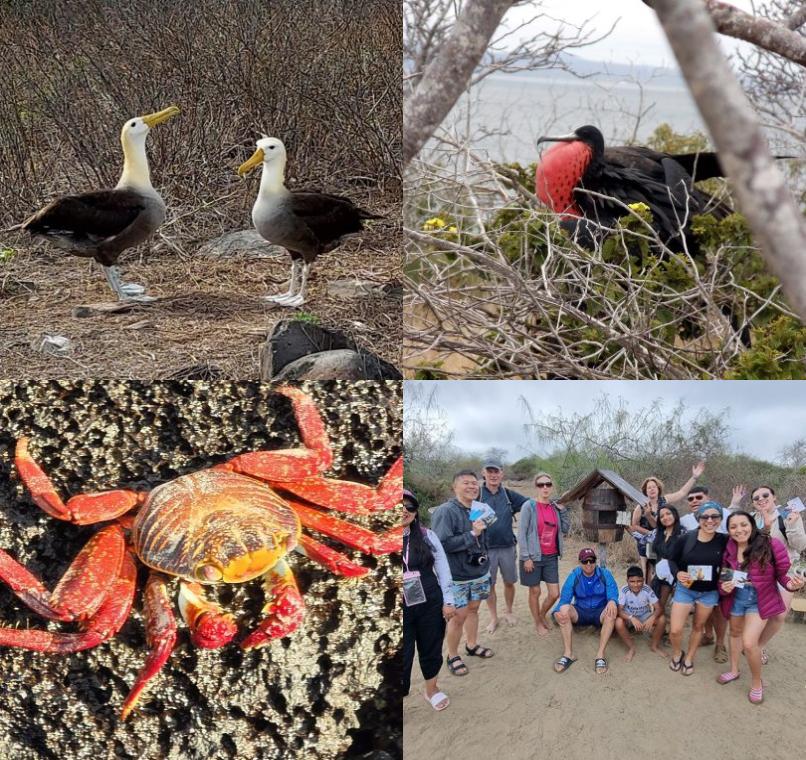 Galapagos Lastminutes & Jungle Tours