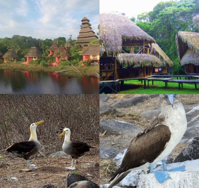 Galapagos Lastminutes & Jungle Tours