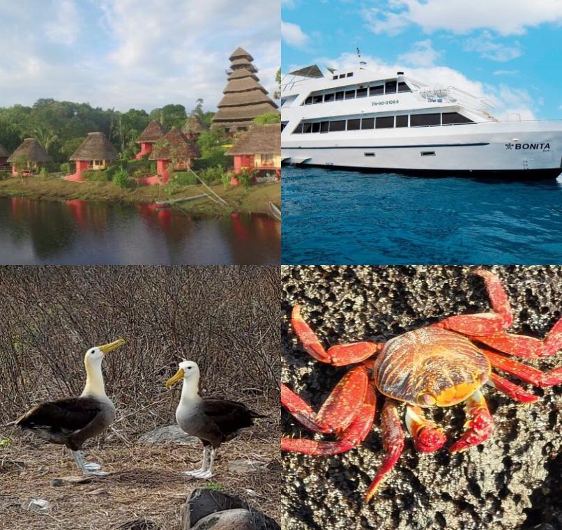 Galapagos Lastminutes & Jungle Tours