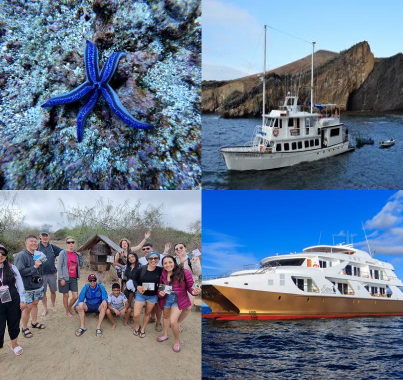 Galapagos Lastminutes & Jungle Tours