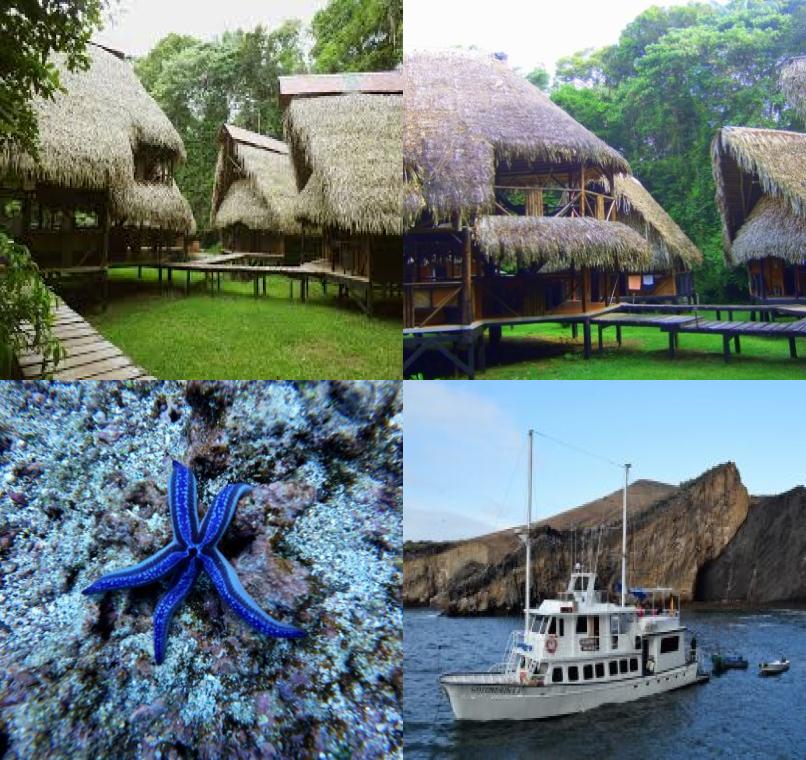 Galapagos Lastminutes & Jungle Tours