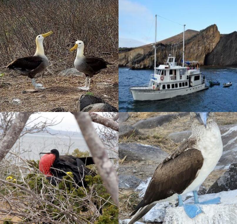 Galapagos Lastminutes & Jungle Tours