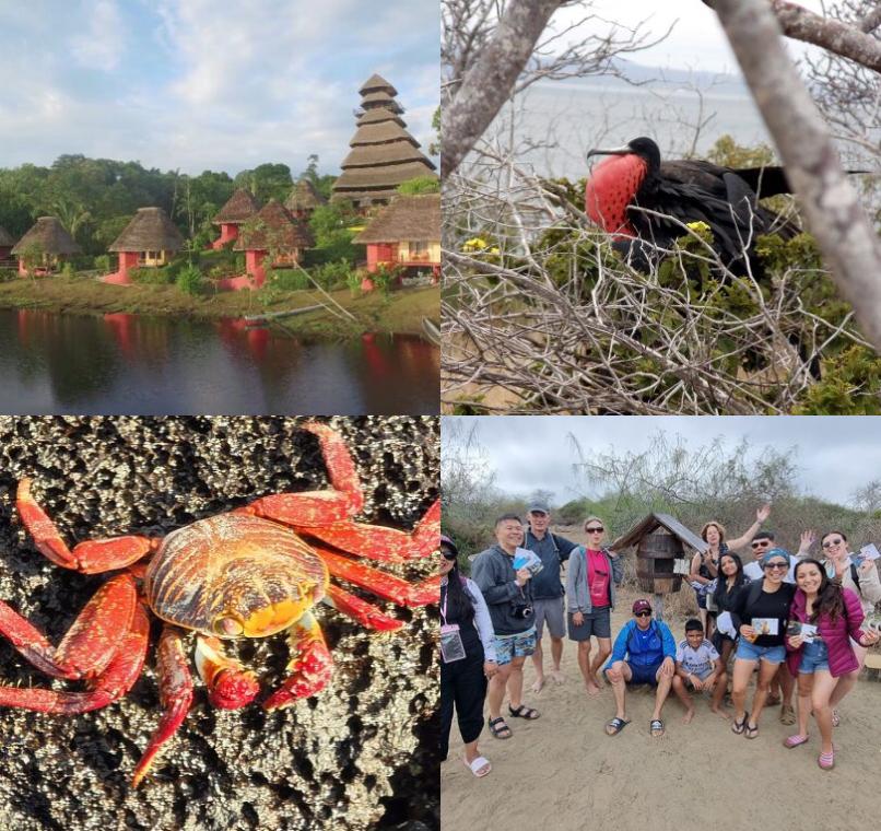 Galapagos Lastminutes & Jungle Tours