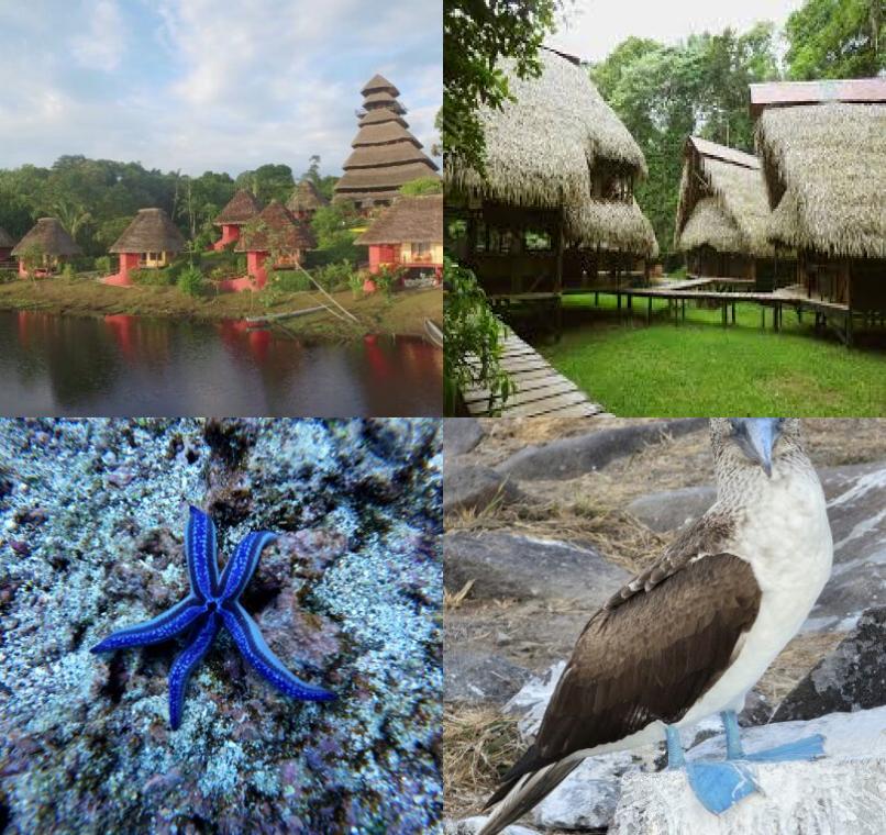 Galapagos Lastminutes & Jungle Tours