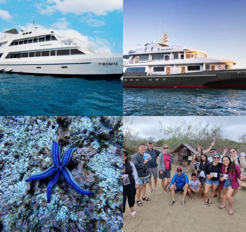 Galapagos Lastminutes & Jungle Tours