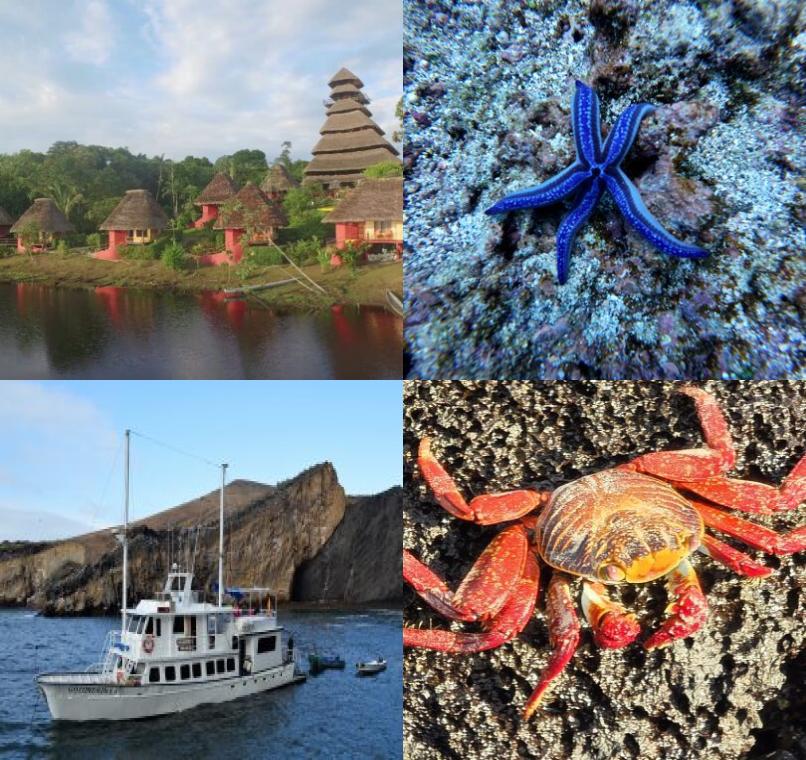 Galapagos Lastminutes & Jungle Tours