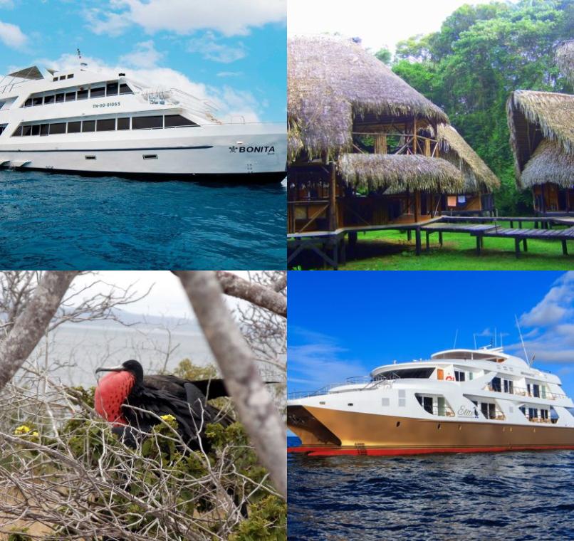Galapagos Lastminutes & Jungle Tours