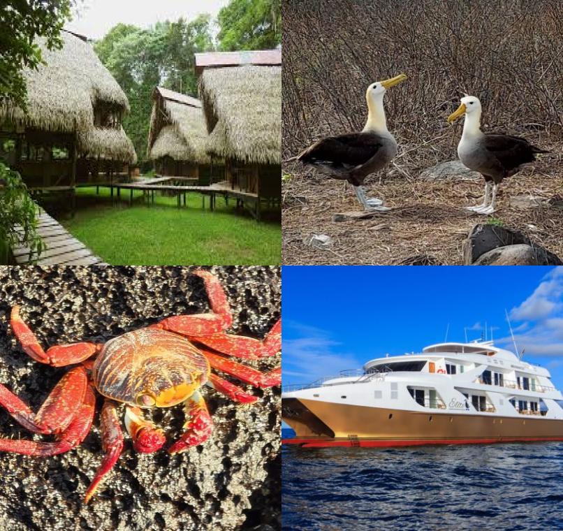 Galapagos Lastminutes & Jungle Tours