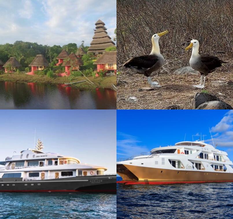 Galapagos Lastminutes & Jungle Tours