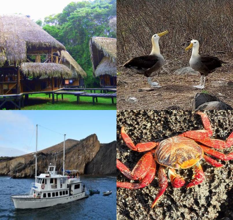 Galapagos Lastminutes & Jungle Tours
