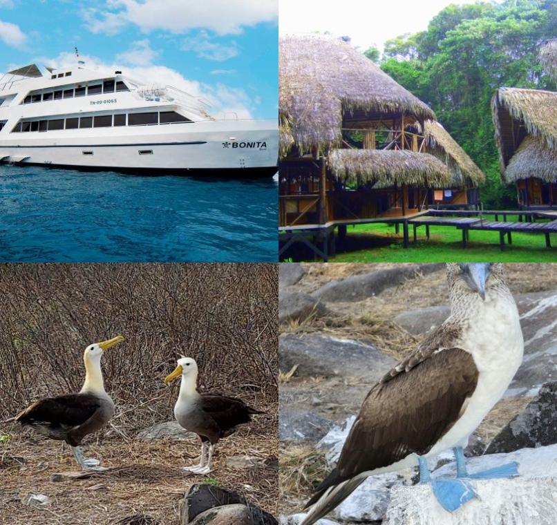 Galapagos Lastminutes & Jungle Tours