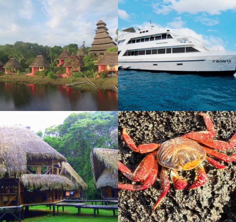 Galapagos Lastminutes & Jungle Tours