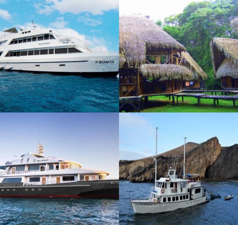 Galapagos Lastminutes & Jungle Tours