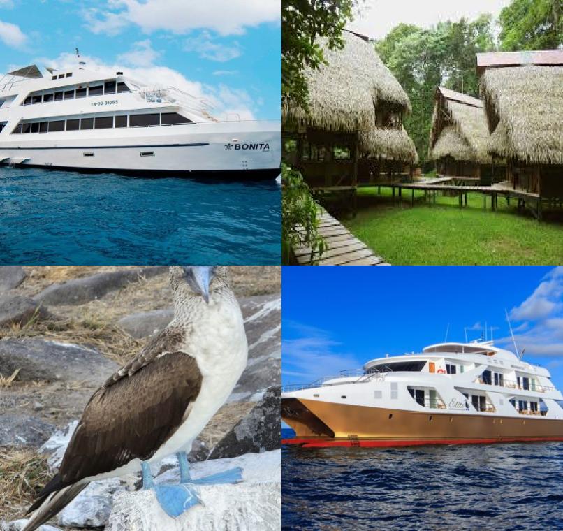 Galapagos Lastminutes & Jungle Tours