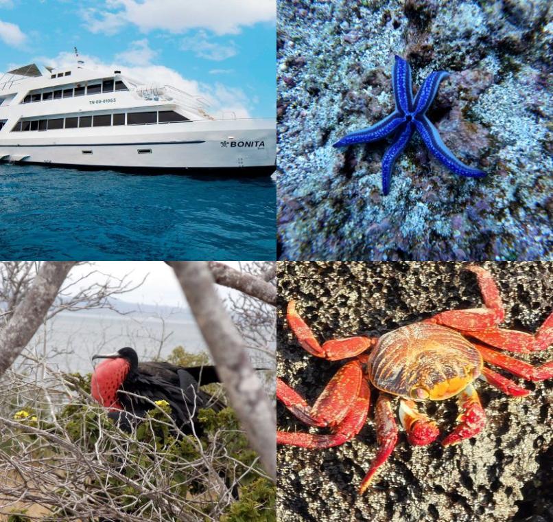 Galapagos Lastminutes & Jungle Tours
