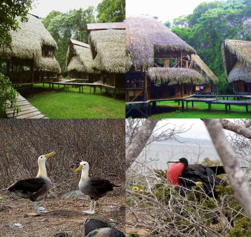 Galapagos Lastminutes & Jungle Tours