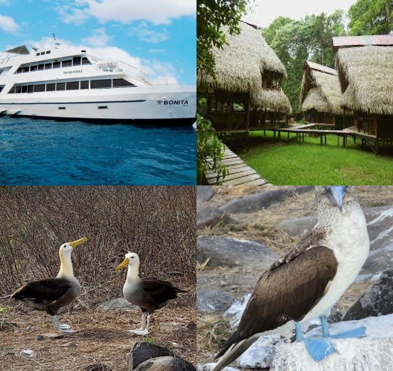 Galapagos Lastminutes & Jungle Tours