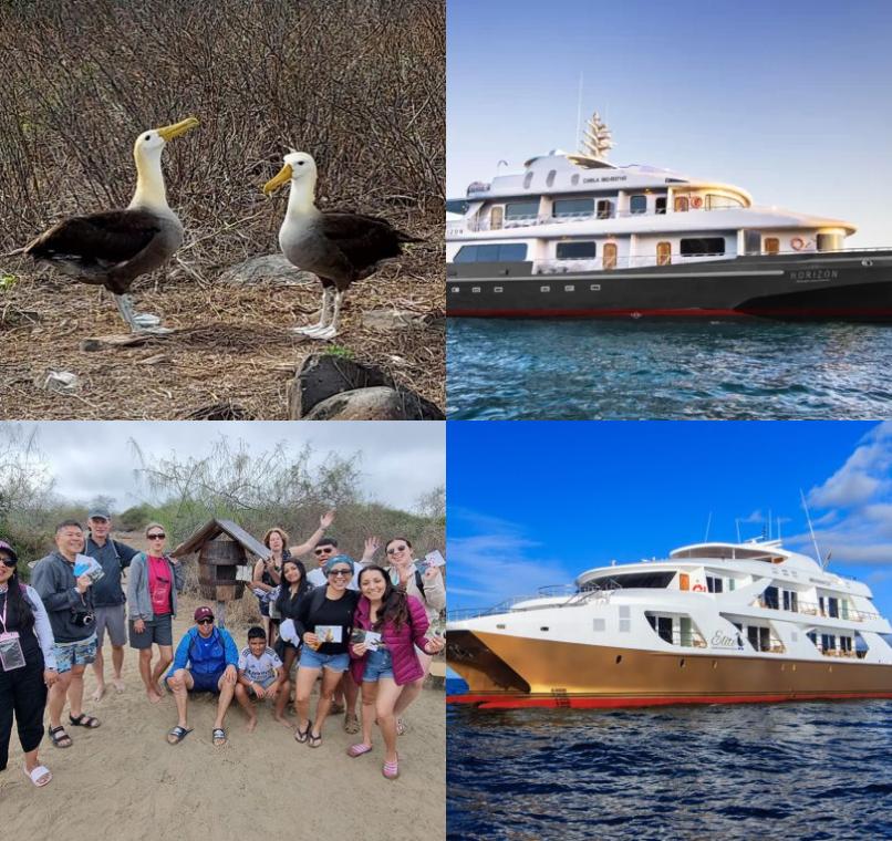 Galapagos Lastminutes & Jungle Tours