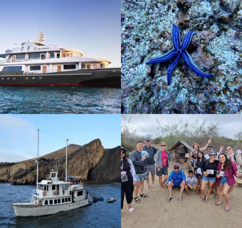 Galapagos Lastminutes & Jungle Tours