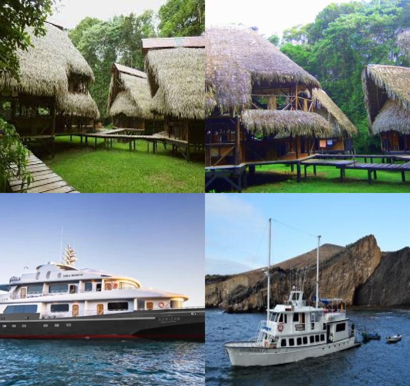 Galapagos Lastminutes & Jungle Tours