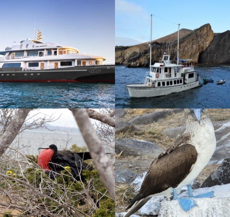 Galapagos Lastminutes & Jungle Tours