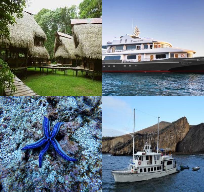 Galapagos Lastminutes & Jungle Tours