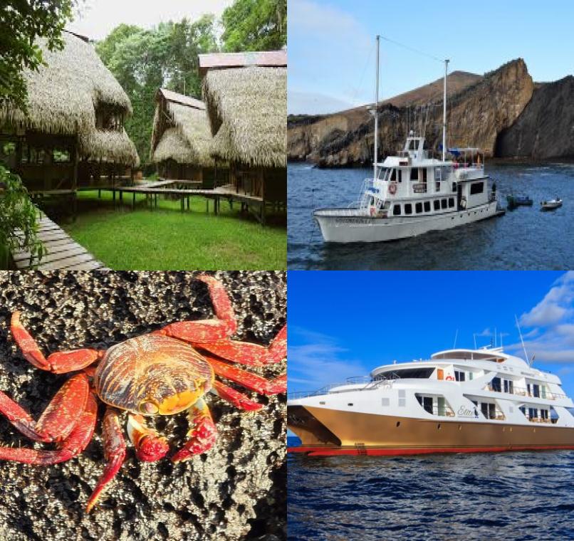 Galapagos Lastminutes & Jungle Tours