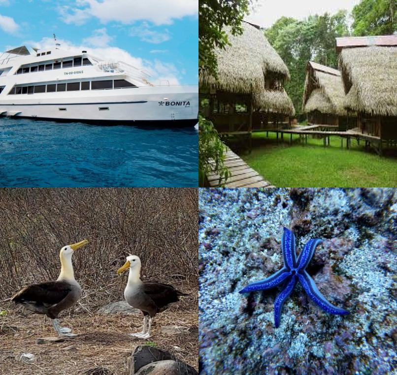 Galapagos Lastminutes & Jungle Tours
