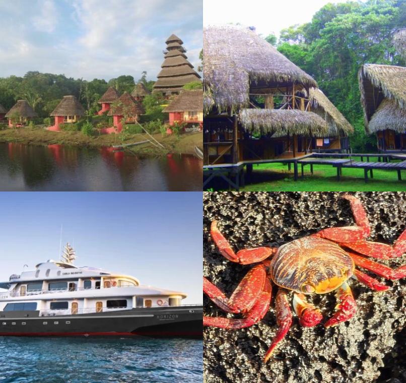 Galapagos Lastminutes & Jungle Tours