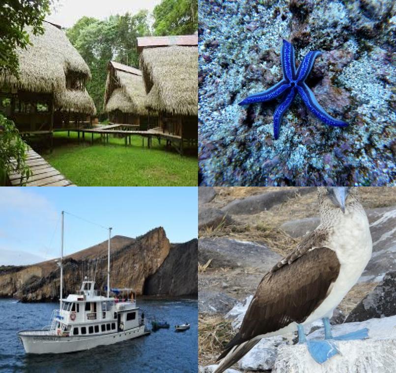 Galapagos Lastminutes & Jungle Tours