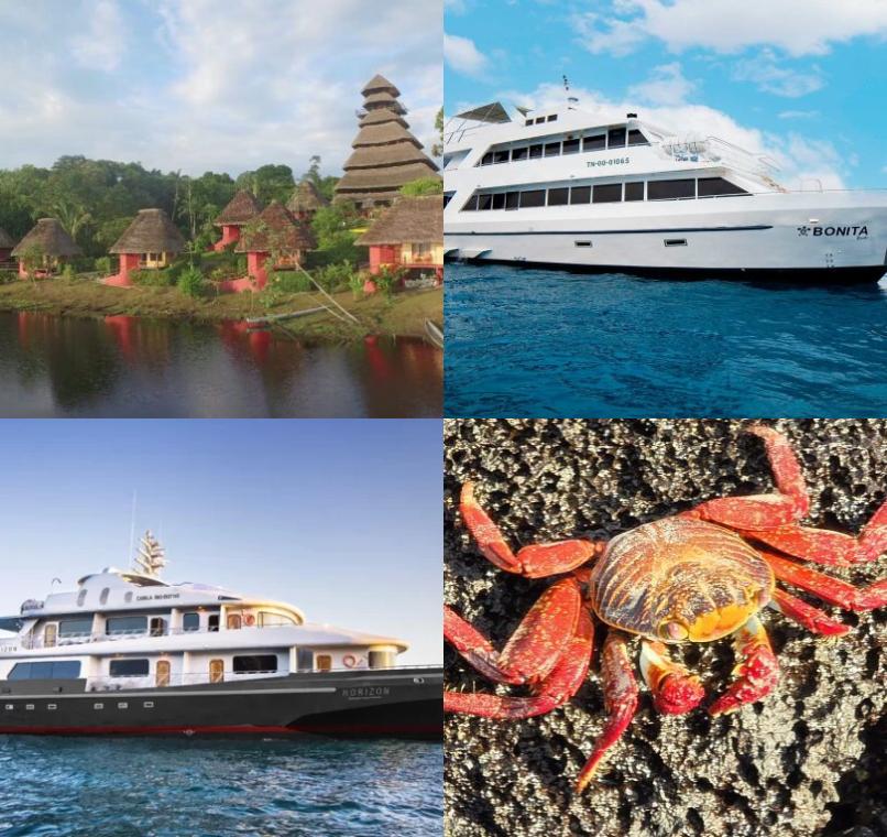 Galapagos Lastminutes & Jungle Tours