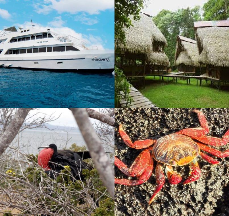 Galapagos Lastminutes & Jungle Tours