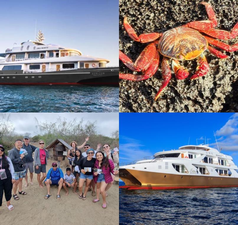 Galapagos Lastminutes & Jungle Tours