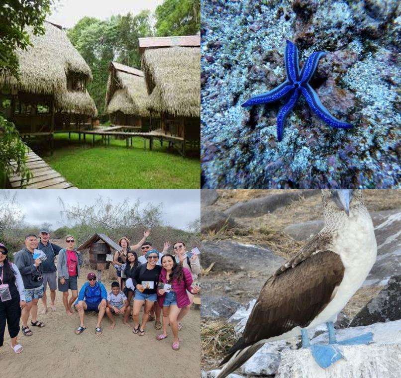 Galapagos Lastminutes & Jungle Tours