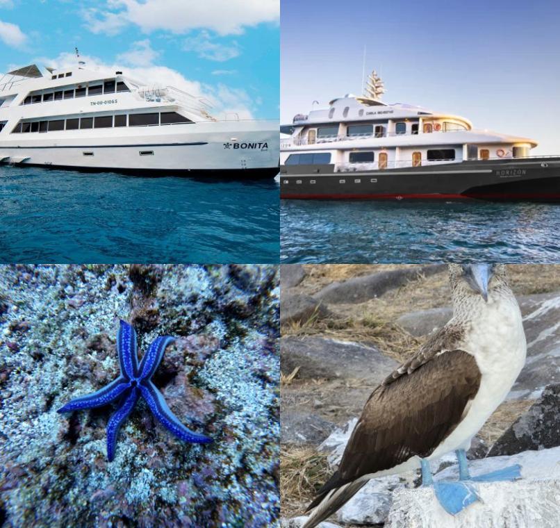 Galapagos Lastminutes & Jungle Tours