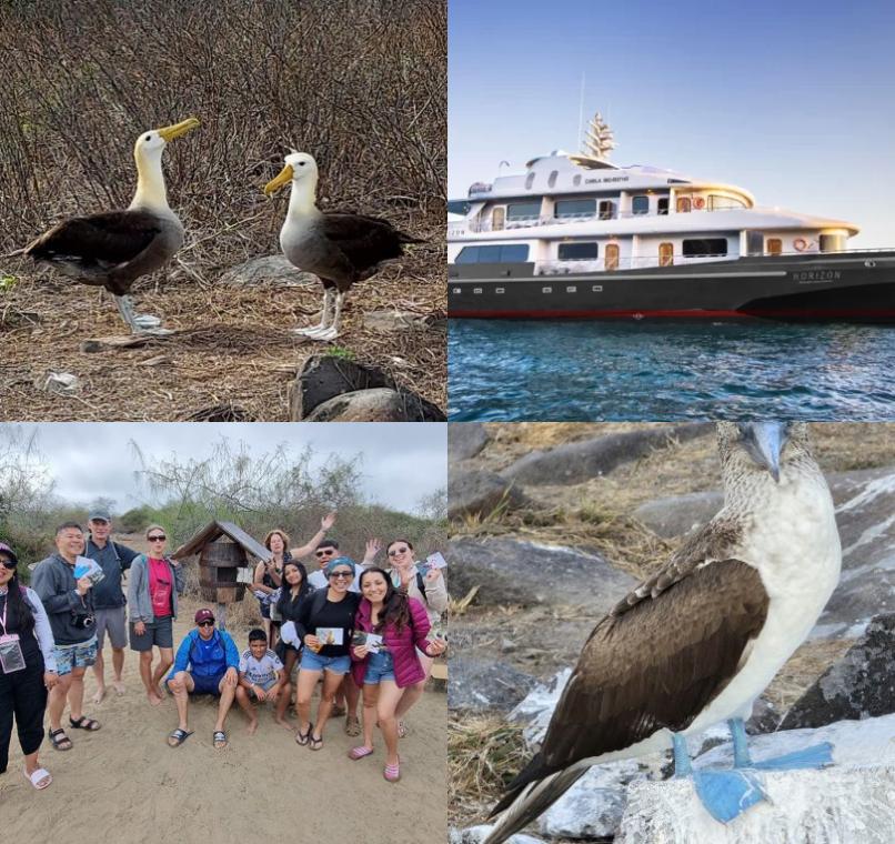 Galapagos Lastminutes & Jungle Tours