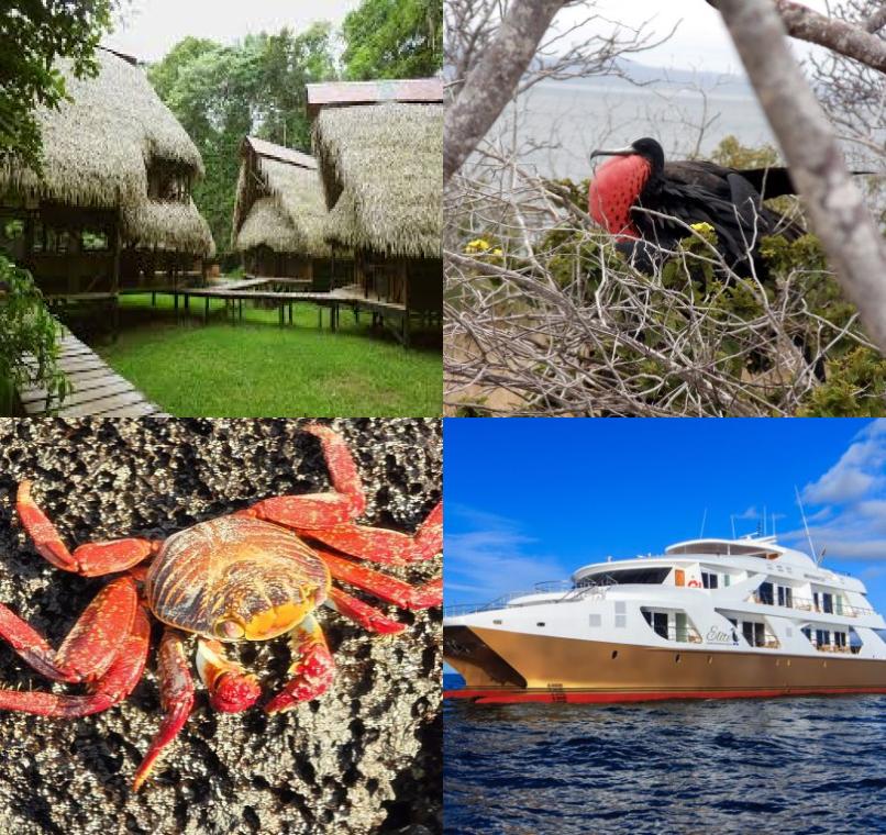 Galapagos Lastminutes & Jungle Tours