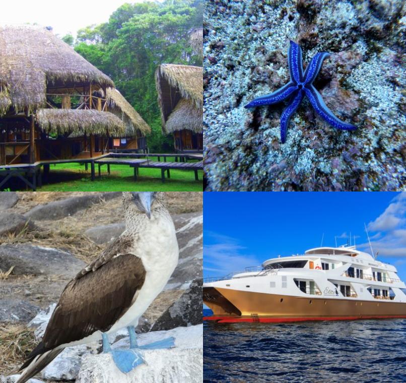 Galapagos Lastminutes & Jungle Tours