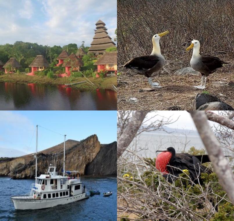 Galapagos Lastminutes & Jungle Tours