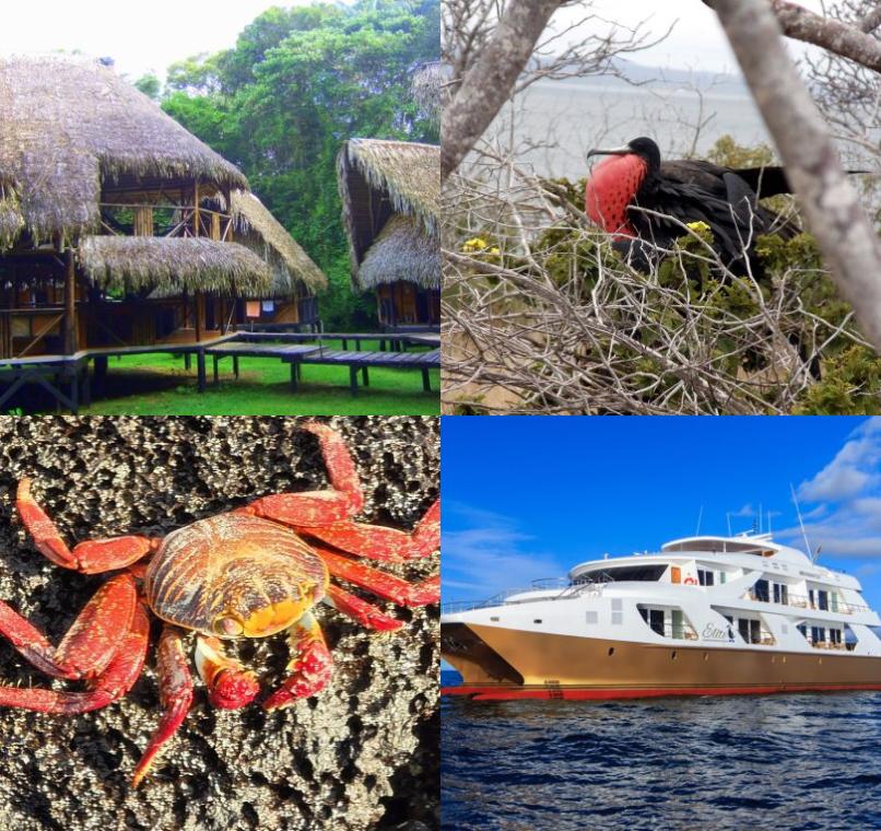 Galapagos Lastminutes & Jungle Tours