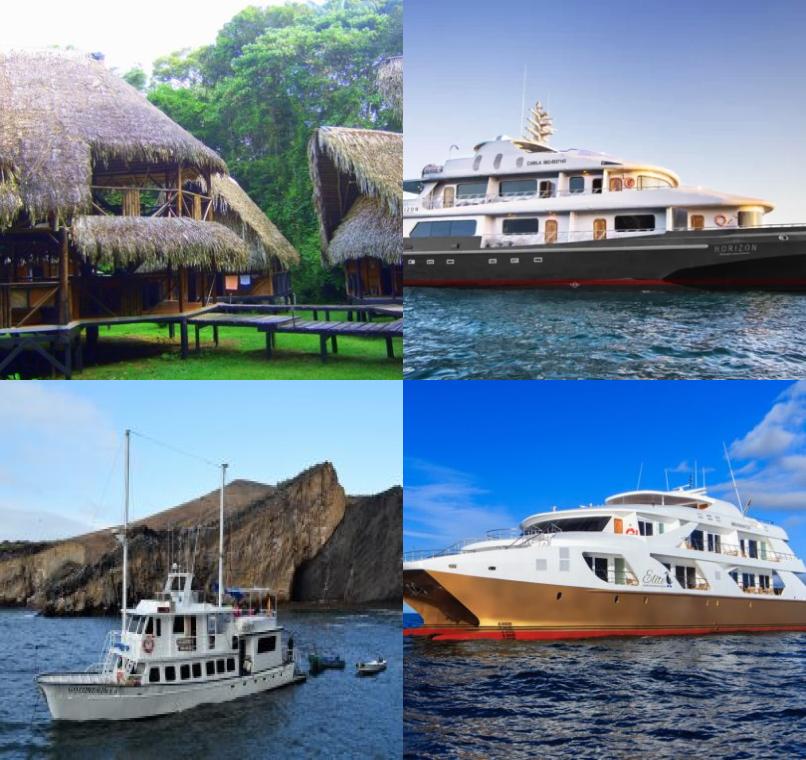Galapagos Lastminutes & Jungle Tours
