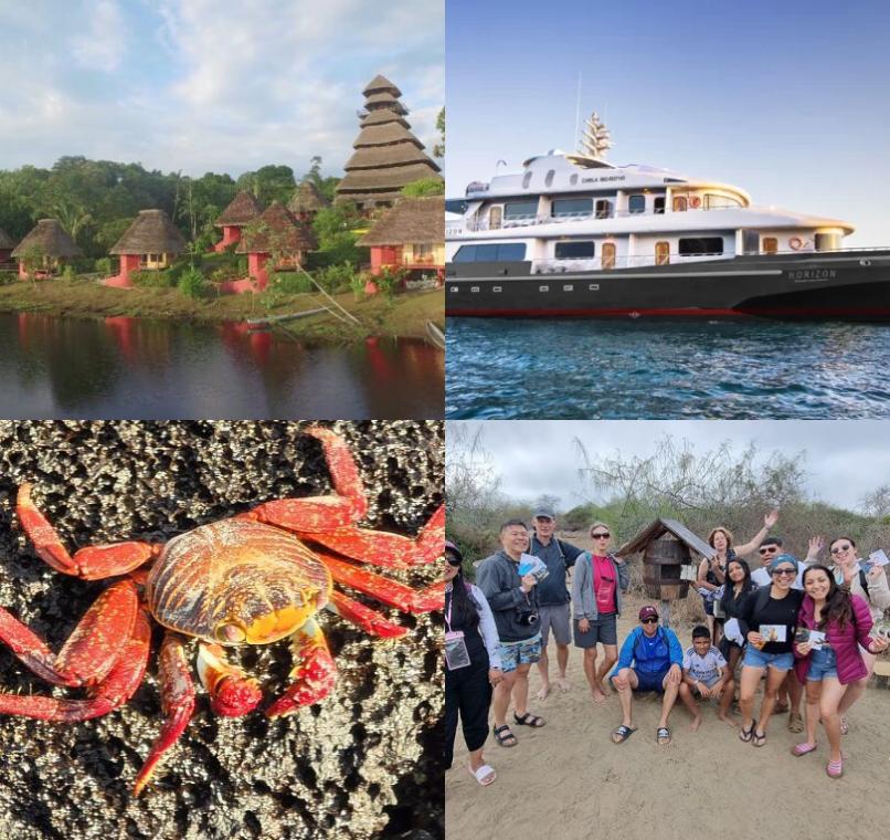 Galapagos Lastminutes & Jungle Tours