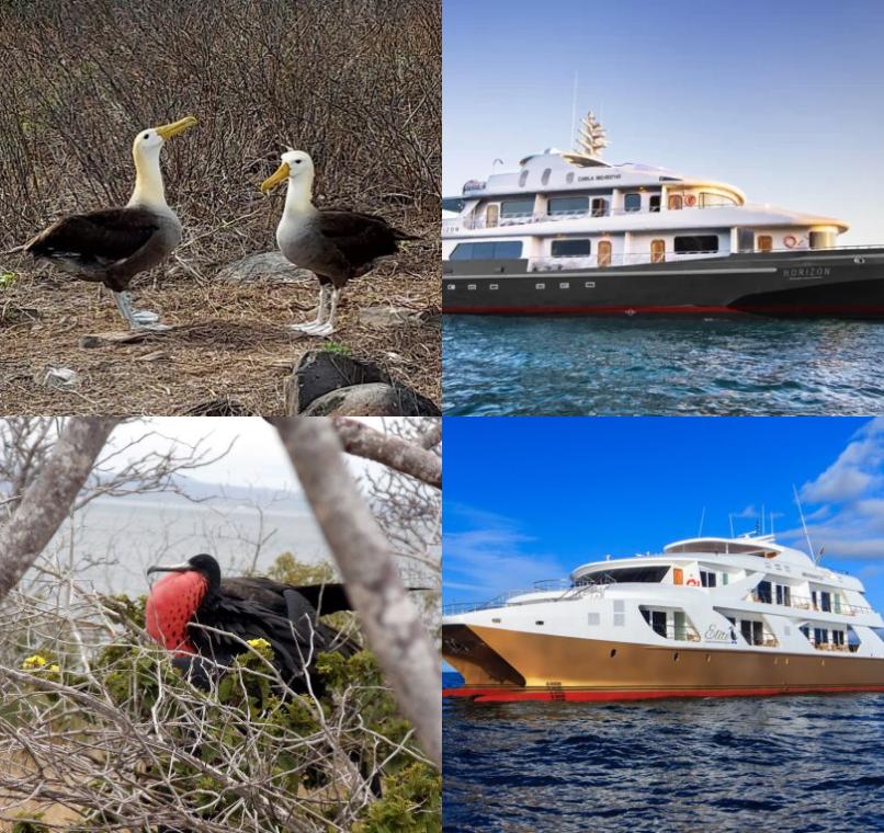 Galapagos Lastminutes & Jungle Tours