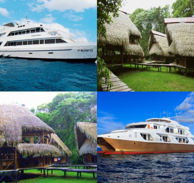 Galapagos Lastminutes & Jungle Tours