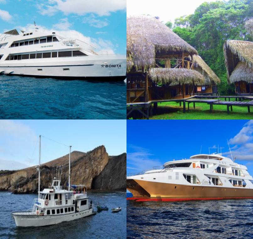 Galapagos Lastminutes & Jungle Tours