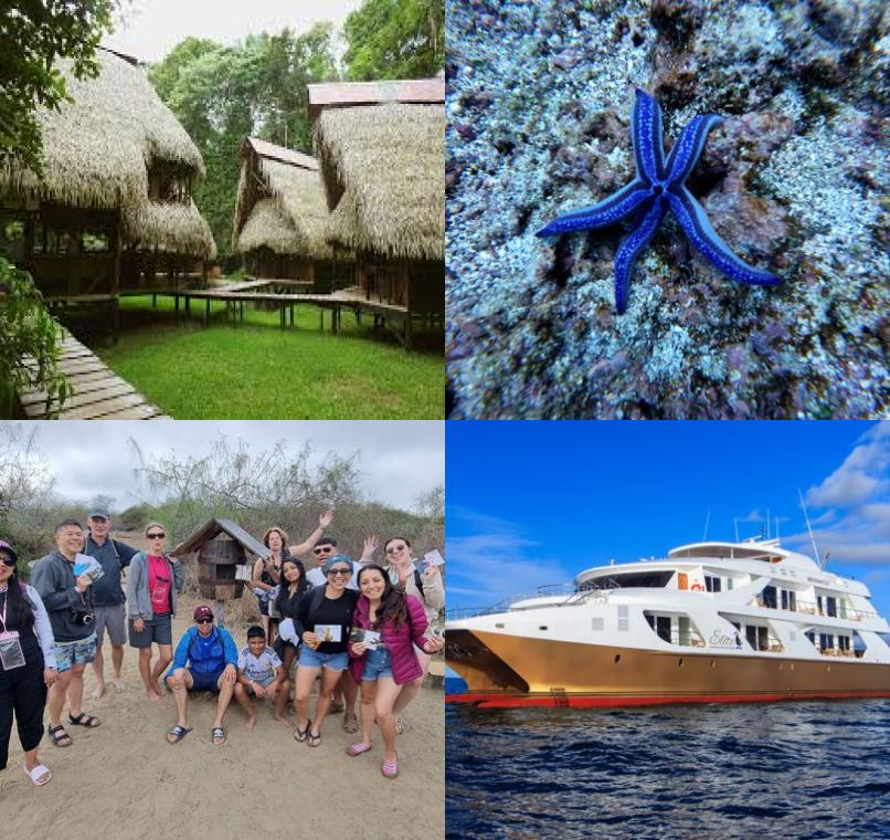 Galapagos Lastminutes & Jungle Tours