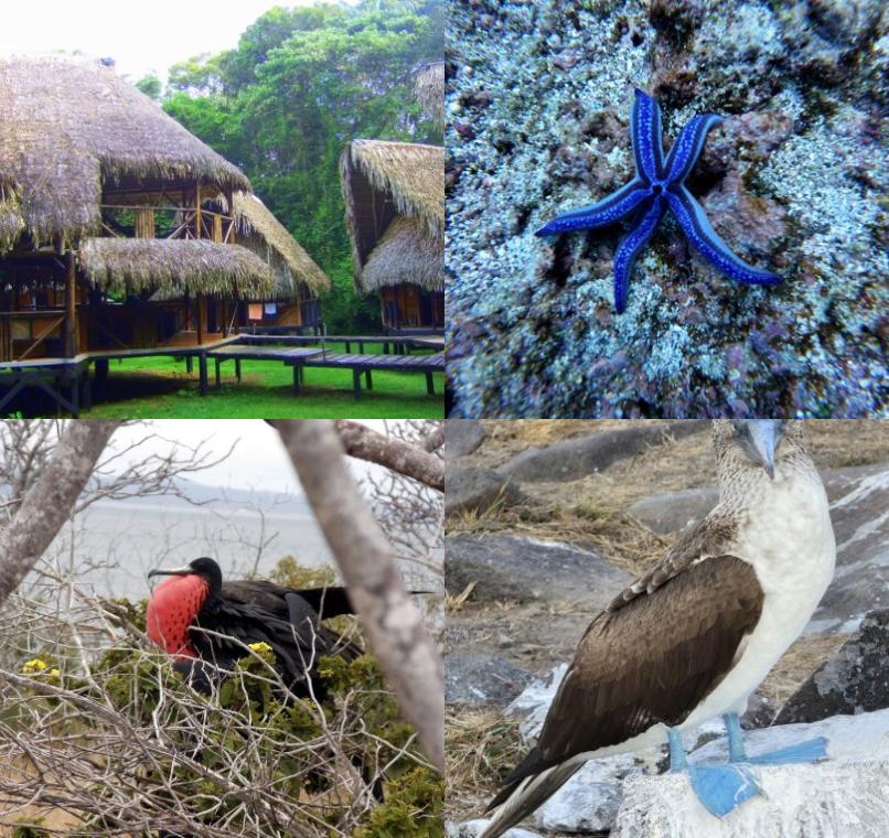 Galapagos Lastminutes & Jungle Tours