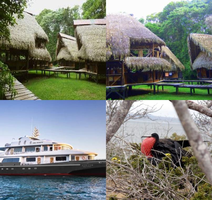 Galapagos Lastminutes & Jungle Tours