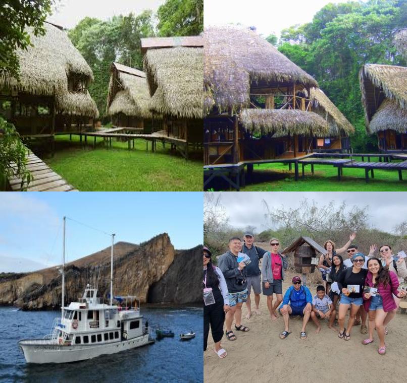 Galapagos Lastminutes & Jungle Tours